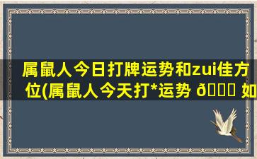 属鼠人今日打牌运势和zui
佳方位(属鼠人今天打*
运势 🍁 如 🦈 何)